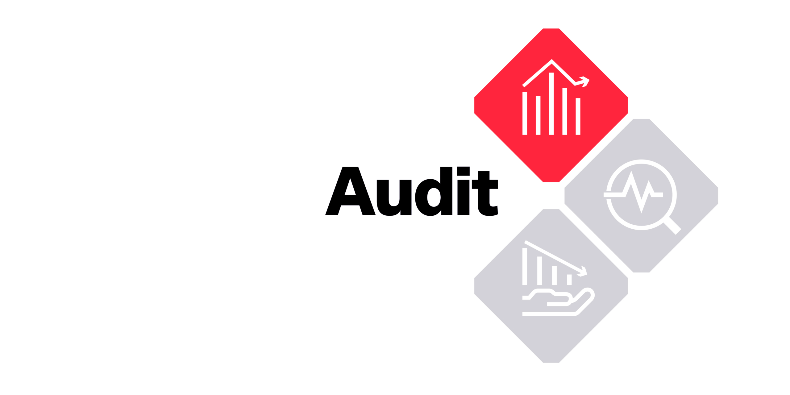 AUDIT